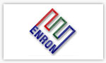 Enron India Natural Gas Inc.